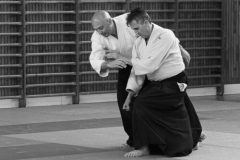 stage_prepadan_052025_004-1-500x373