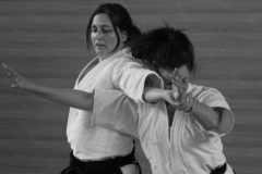 stage_prepadan_052025_006-500x278