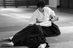 stage_prepadan_052025_007-500x360