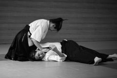 stage_prepadan_052025_009-500x320