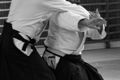 stage_prepadan_052025_012-1-500x670