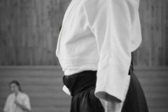 stage_prepadan_052025_016-500x901